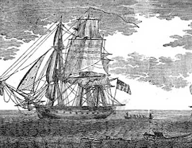 Wasp Captures 10 Ships
