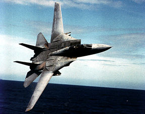 Grumman F-14 Tomcat
