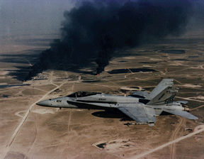 Persian Gulf War Air Campaign